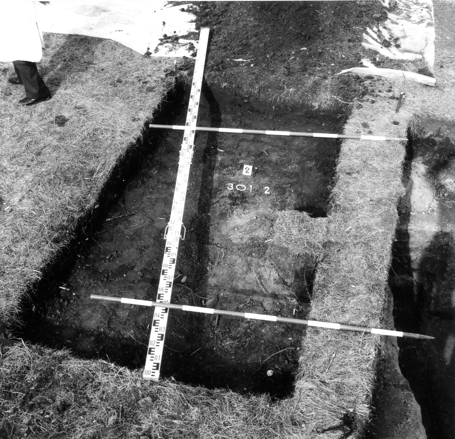 A Magyar Nemzeti Múzeum szerepe a 301-es parcella feltárásában