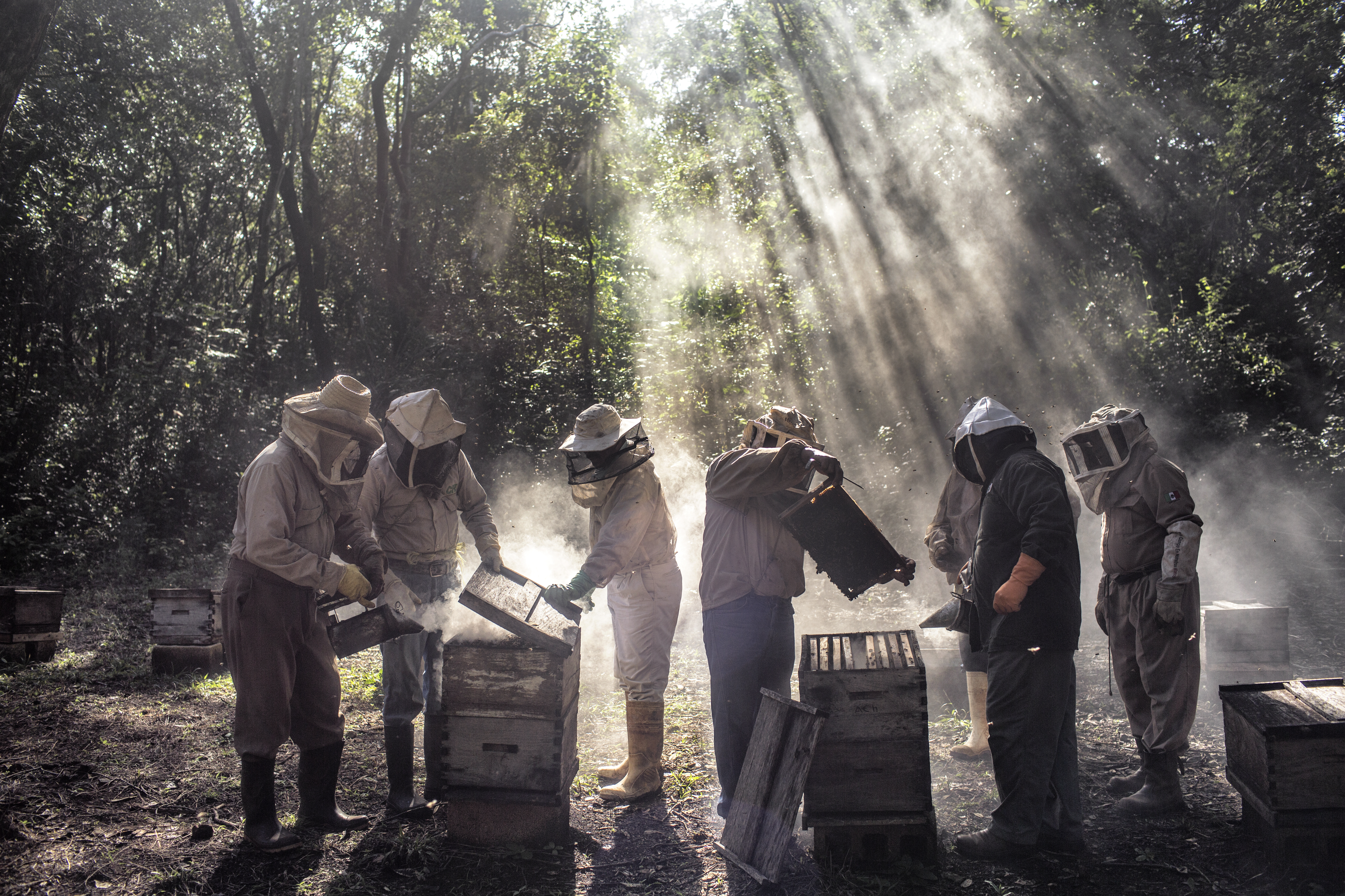 10/15 Tárlatvezetés a World Press Photo Kiállításban - NÉZZÜNK A KÉPEK MÖGÉ! 10/15 Tárlatvezetés a World Press Photo Kiállításban - NÉZZÜNK A KÉPEK MÖGÉ!
