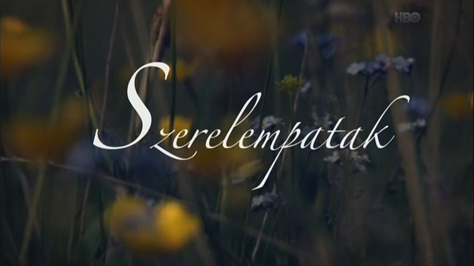Elhallgatott szerelmek | Szerelempatak