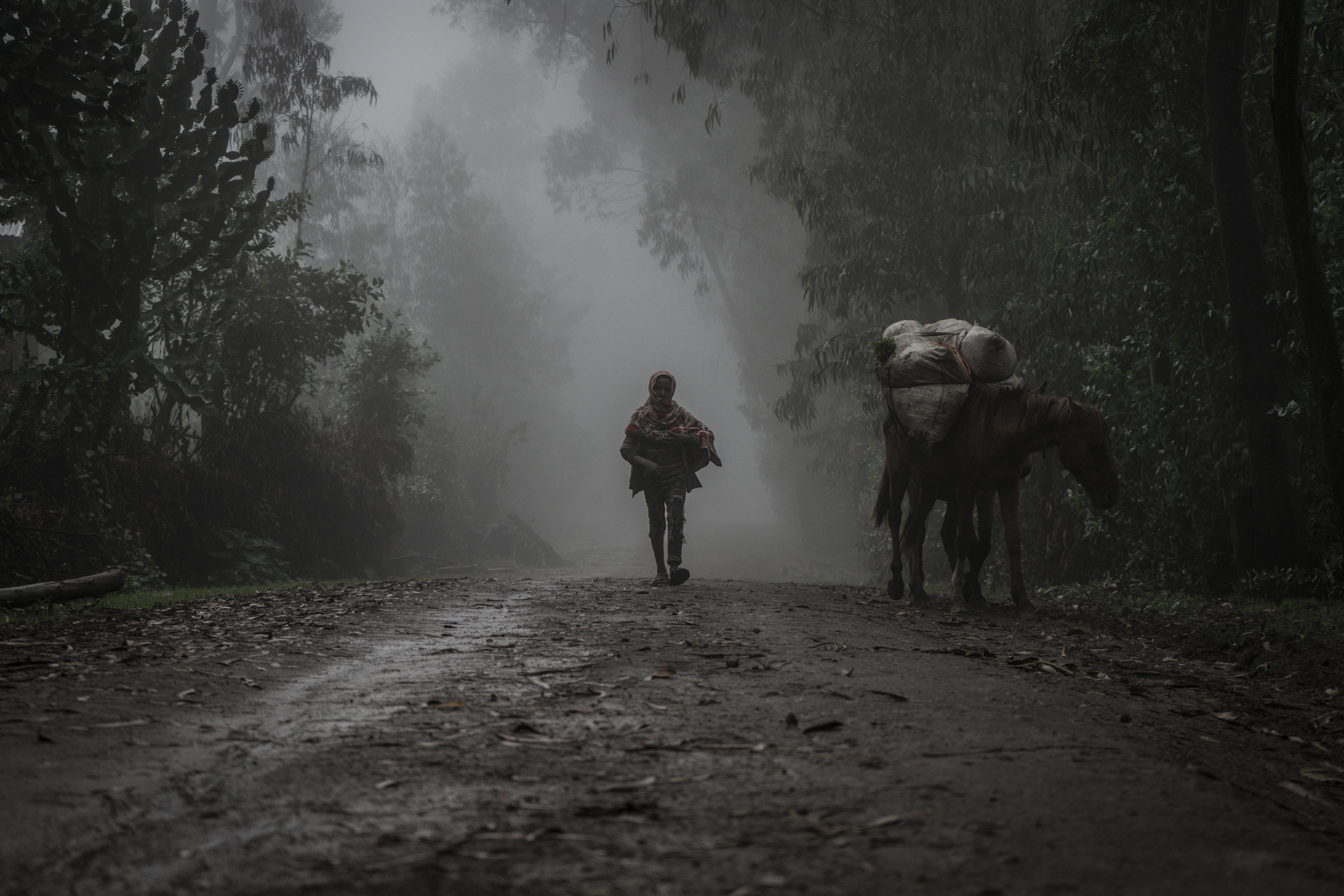 10/14 Tárlatvezetés a World Press Photo Kiállításban