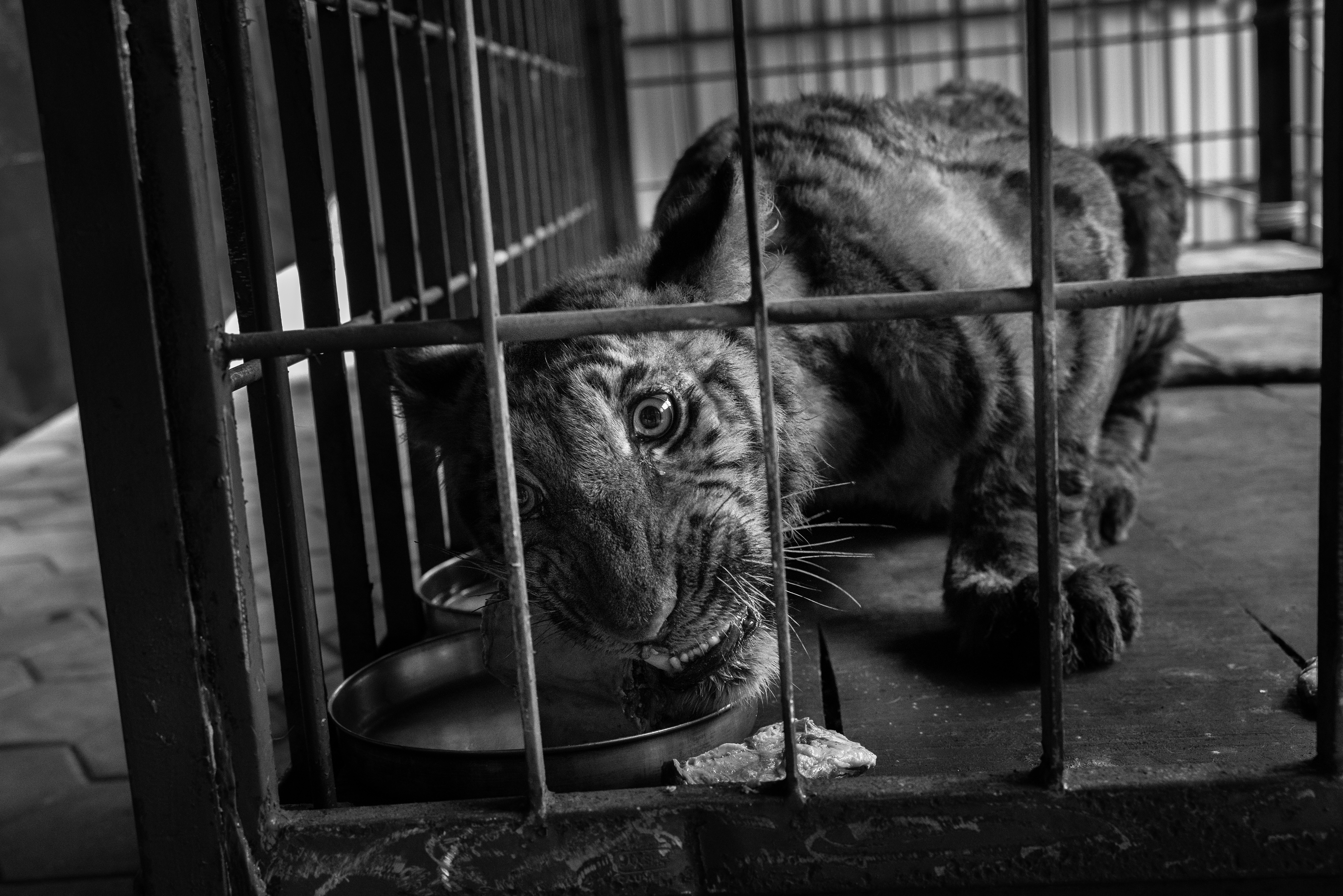 10/15 Tárlatvezetés a World Press Photo Kiállításban