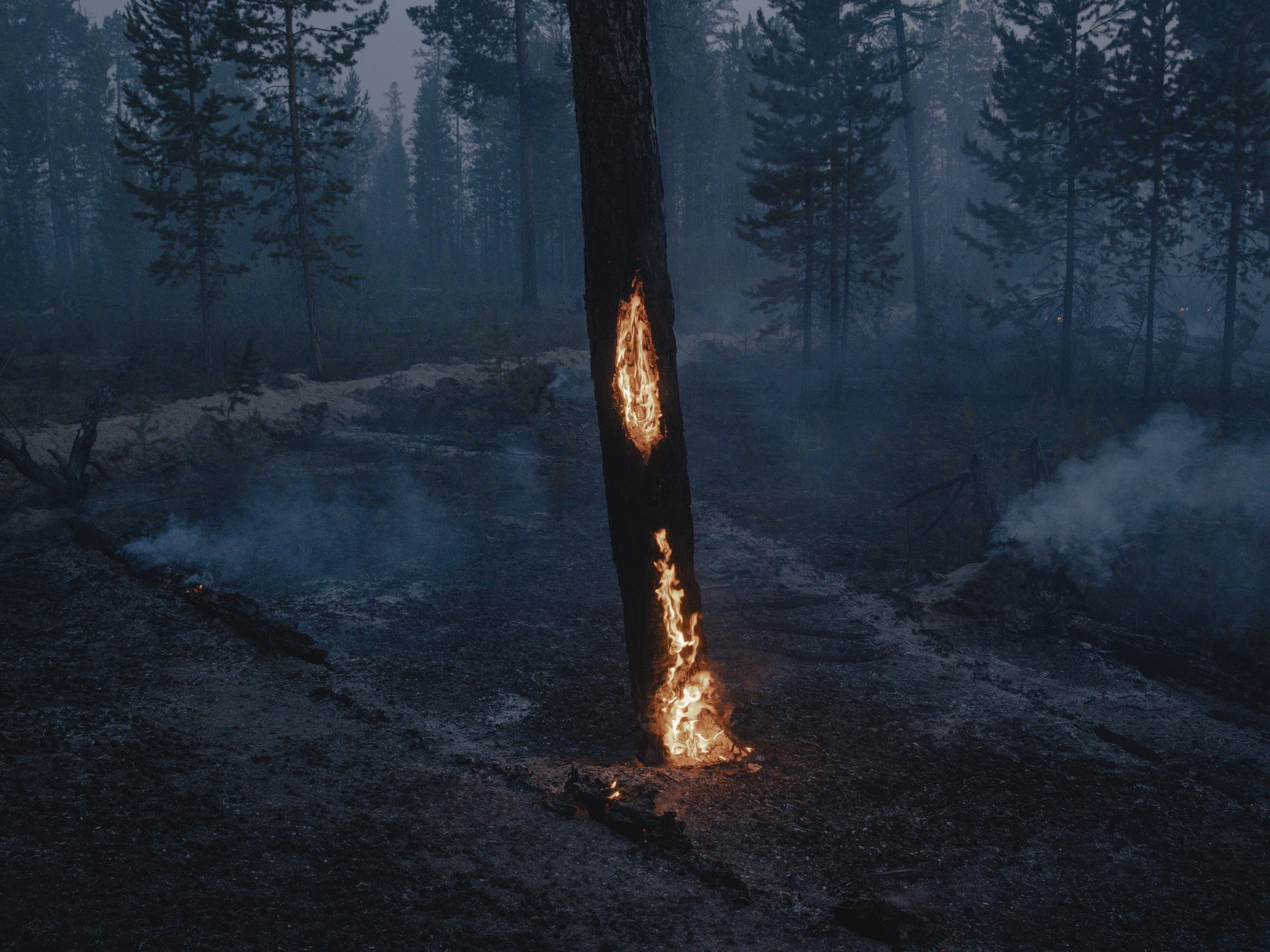 10/11 Tárlatvezetés a World Press Photo Kiállításban
