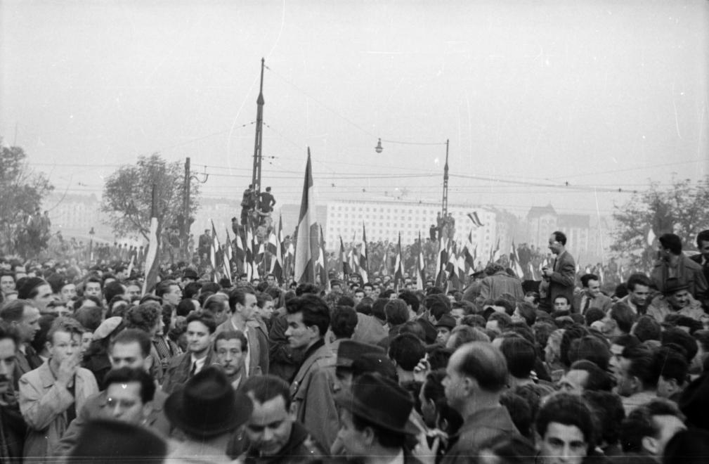 '56-OS LEGENDÁRIUM| SCHRÖTTER TIBOR TÖRTÉNETE