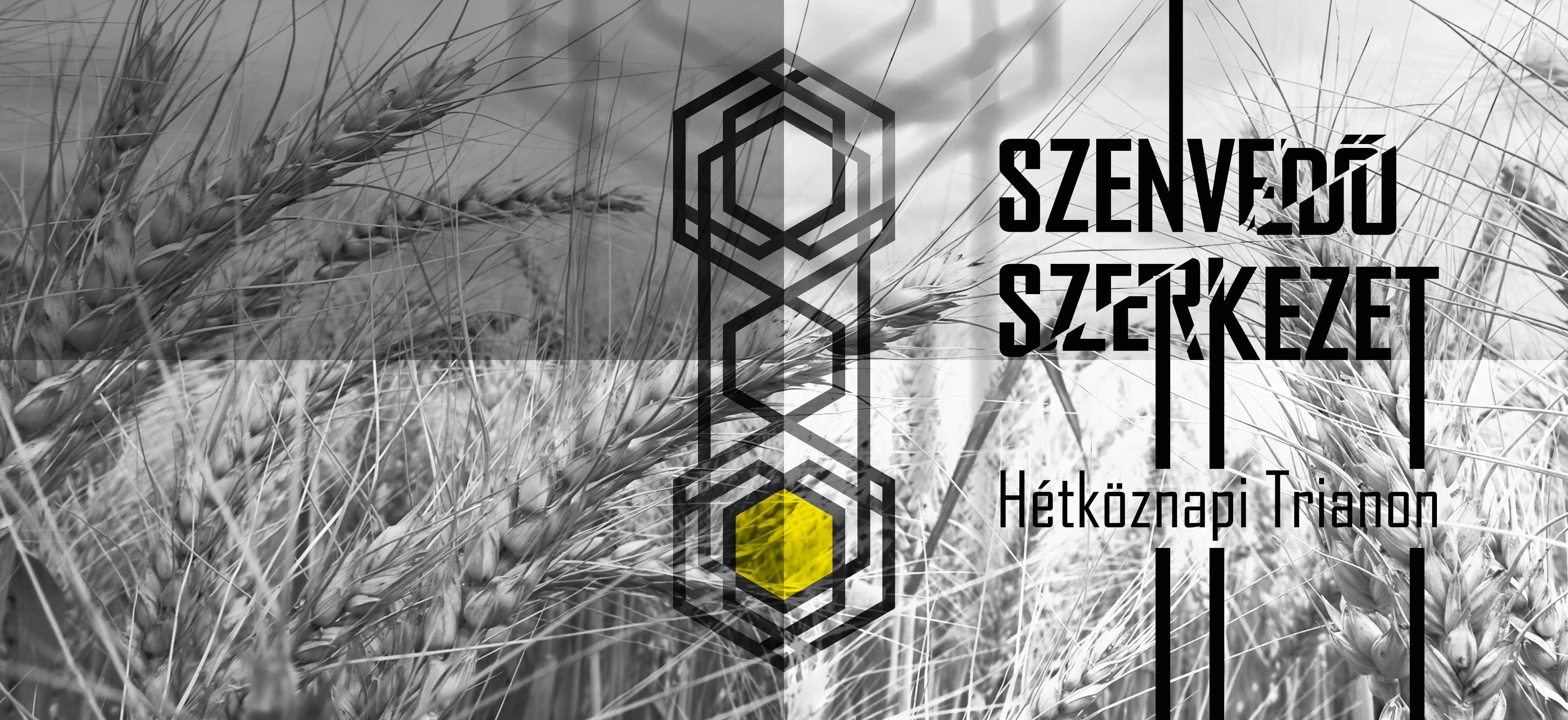 Szenvedő szerkezet – Hétköznapi Trianon Szenvedő szerkezet – Hétköznapi Trianon