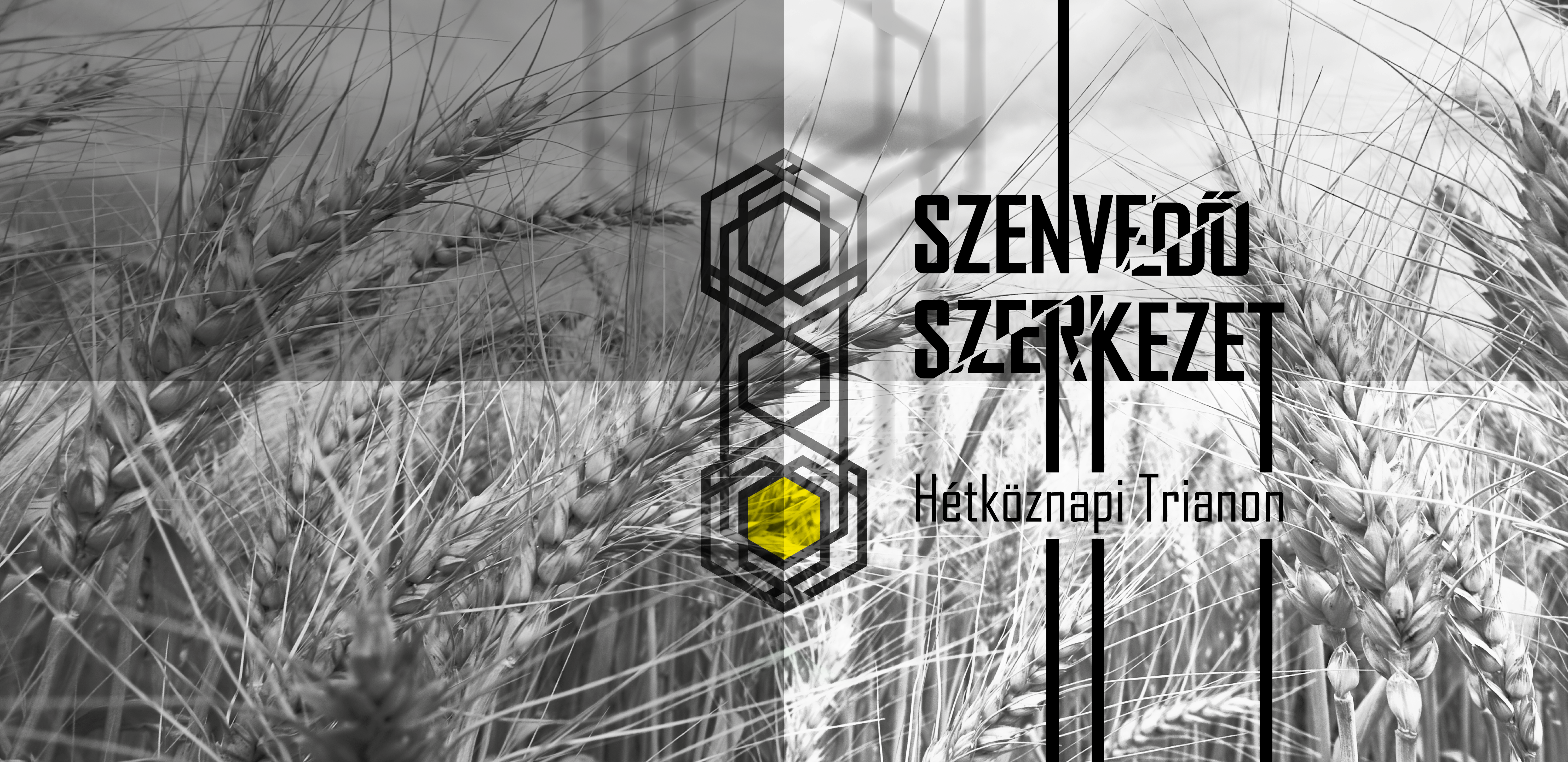 Szenvedő szerkezet – Hétköznapi Trianon Szenvedő szerkezet – Hétköznapi Trianon