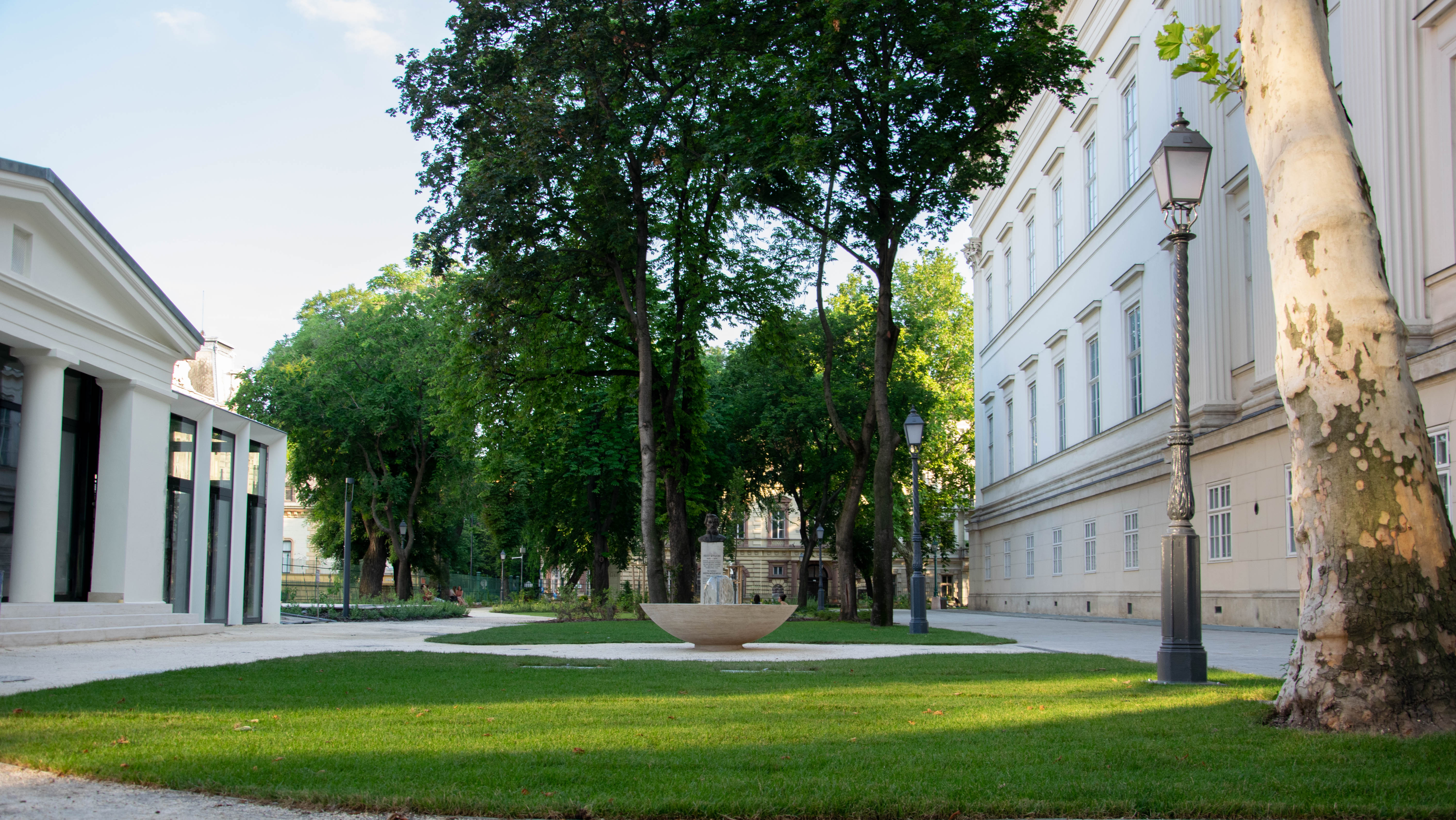  Felnőtt jóga a Múzeumkertben | Nyugalom és megújulás a természetben