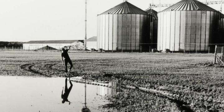 Madas Bence: Evickélés, zselatinos ezüst papír pozitív, 2024 