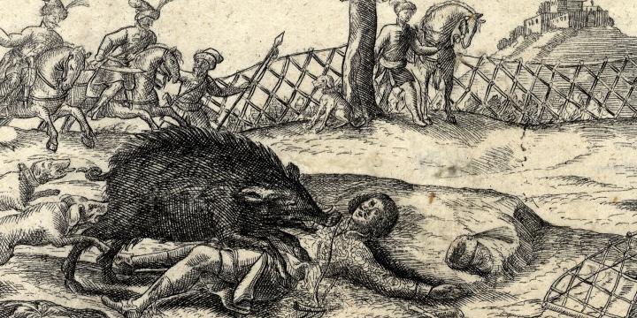 Zrínyi és a vadkan