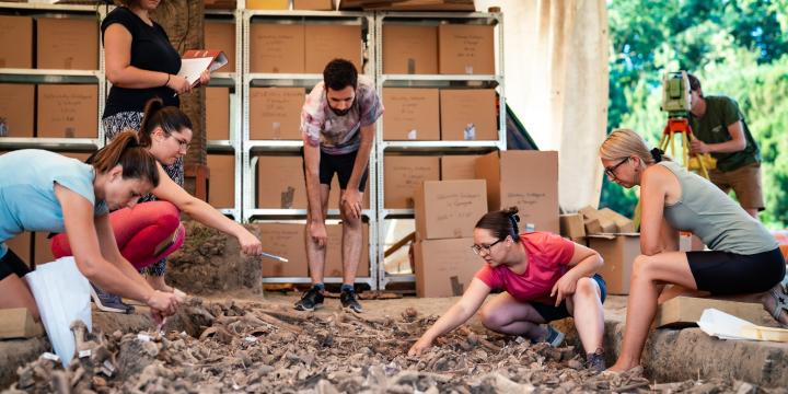 Janus Pannonius Múzeum