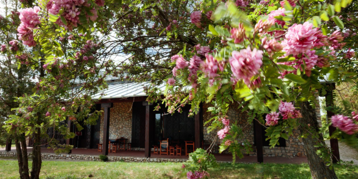 Tavaszünnep  és kortárs kiállításmegnyitó a Villa Romana Baláca régészeti parkban