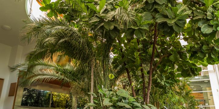 MNMKK MTM Mátra Múzeuma