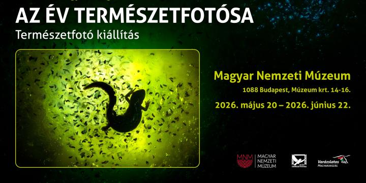 Varázslatos Magyarország - Az év természetfotósa 2025 vándorkiállítás