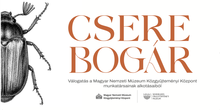 Cserebogár
