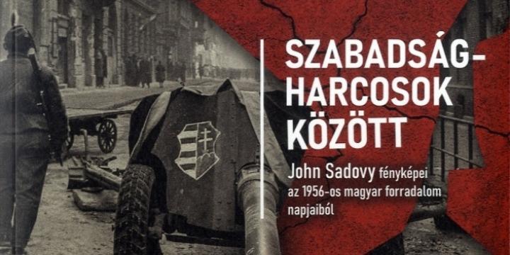 Szabadságharcosok között