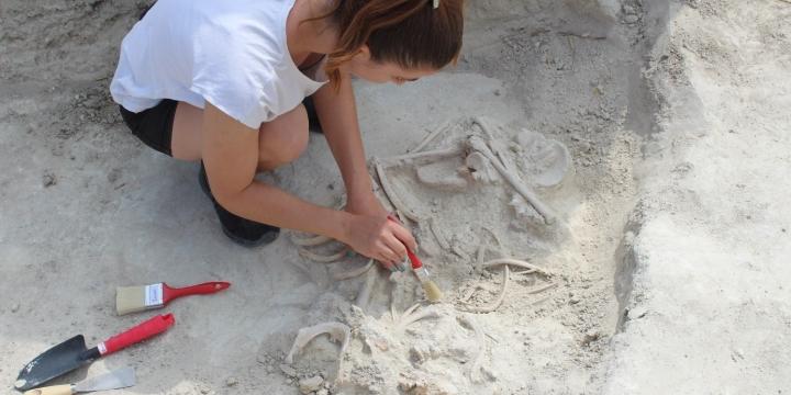 Szakképesítésre irányuló képzések