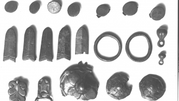 Photo Collection of the Database