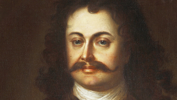 The Painting Collection