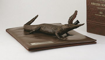 Collection of Contemporary Individual Objects