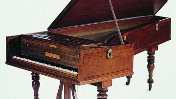 The Musical Instrument Collection