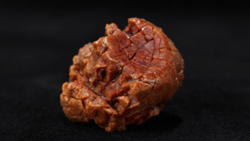 The Palaeolithic Collection