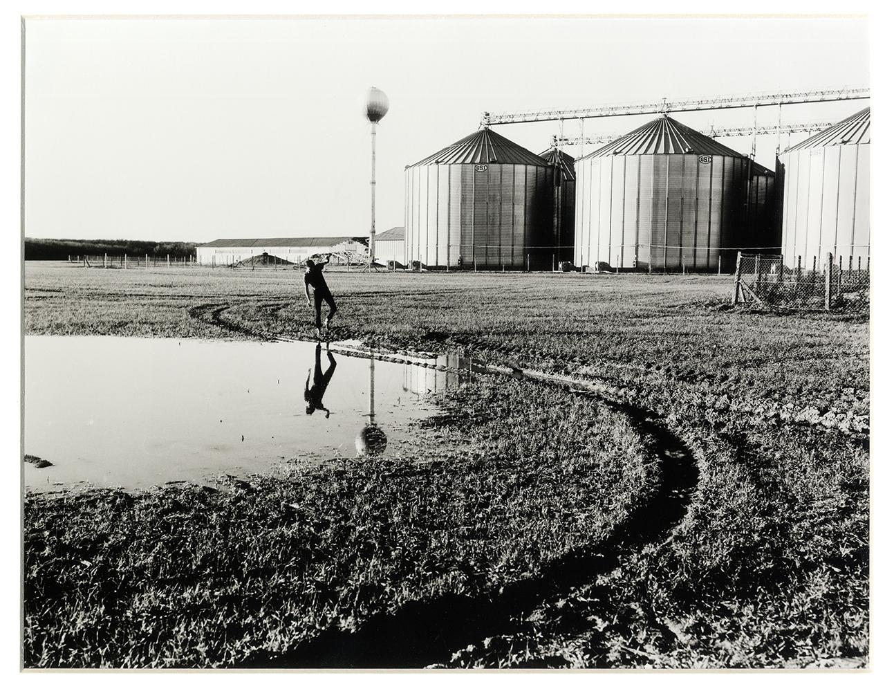 Madas Bence: Evickélés, zselatinos ezüst papír pozitív, 2024 