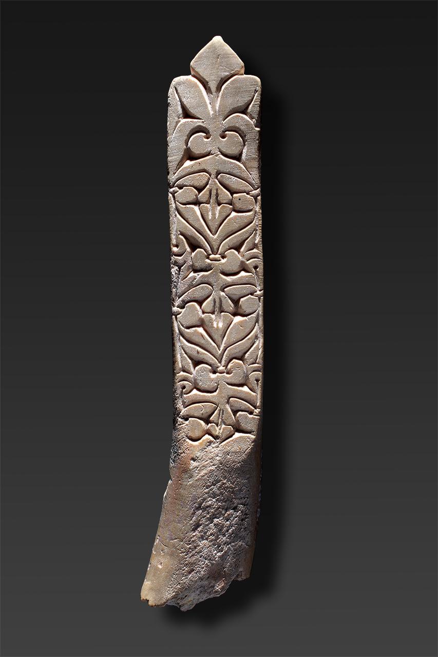 Sályi zabla oldalpálca töredéke