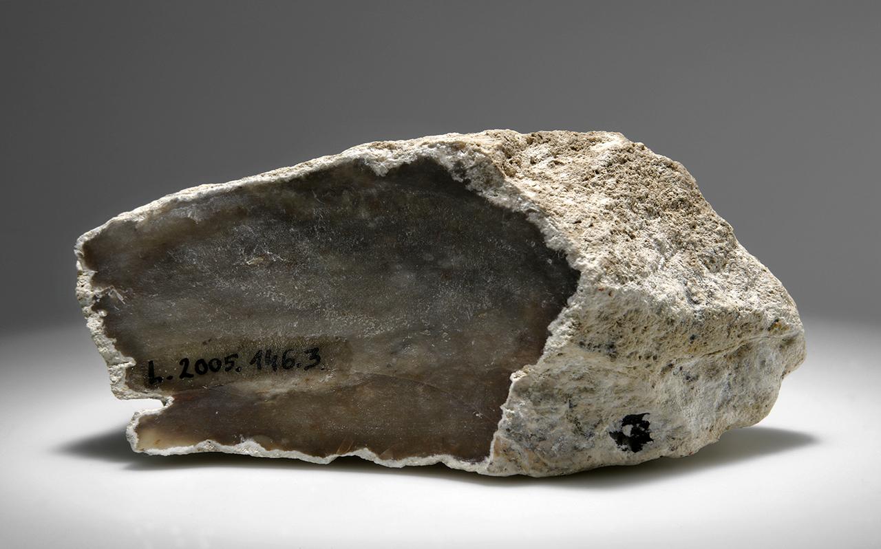 Limnoszilicit, Buják