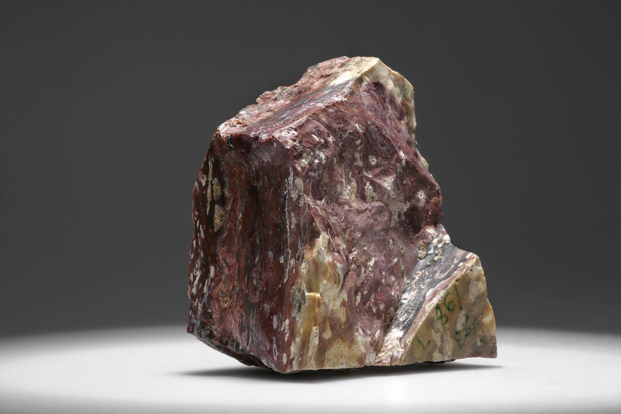 Gejzirit, Gyöngyöstarján