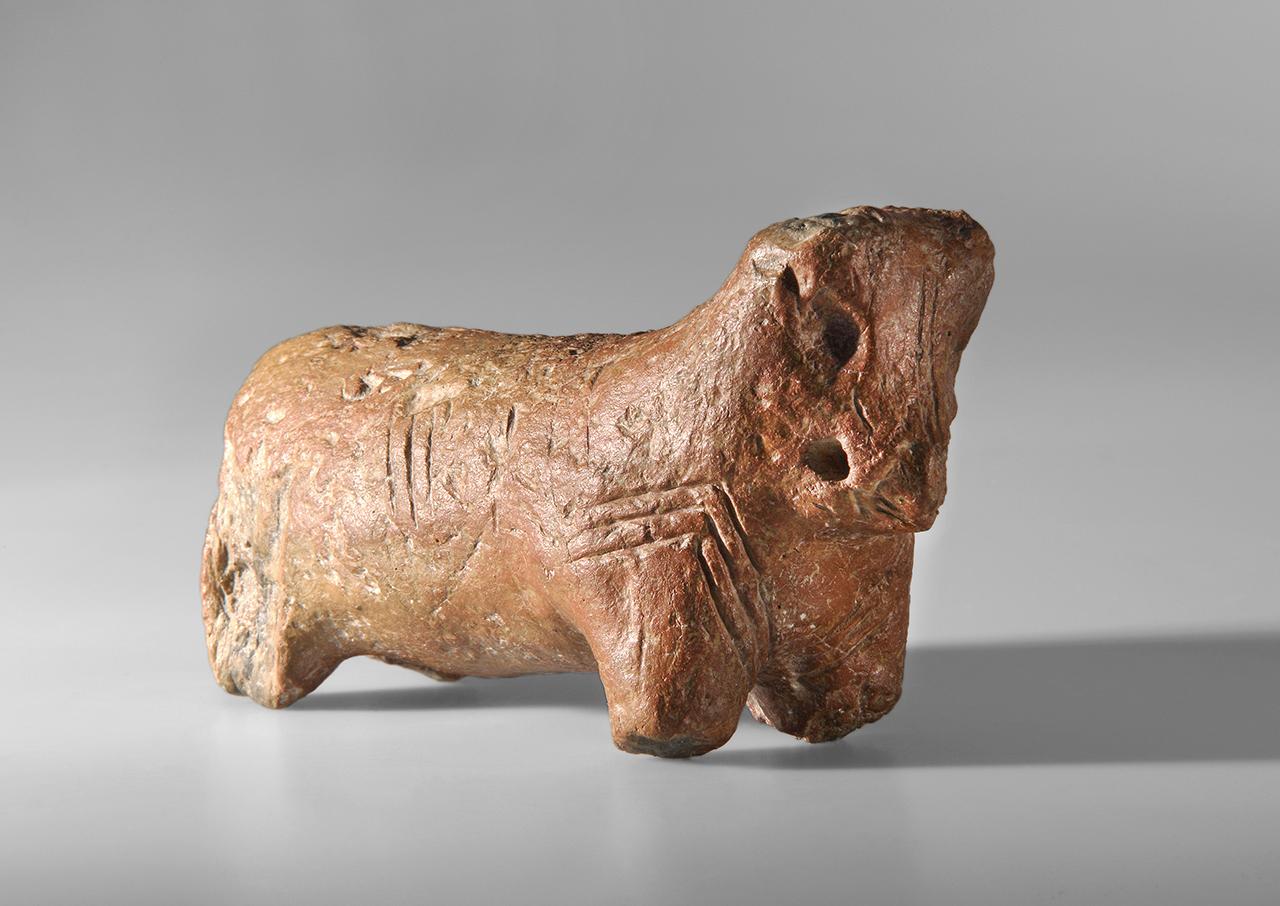 Szarvasmarha plasztika