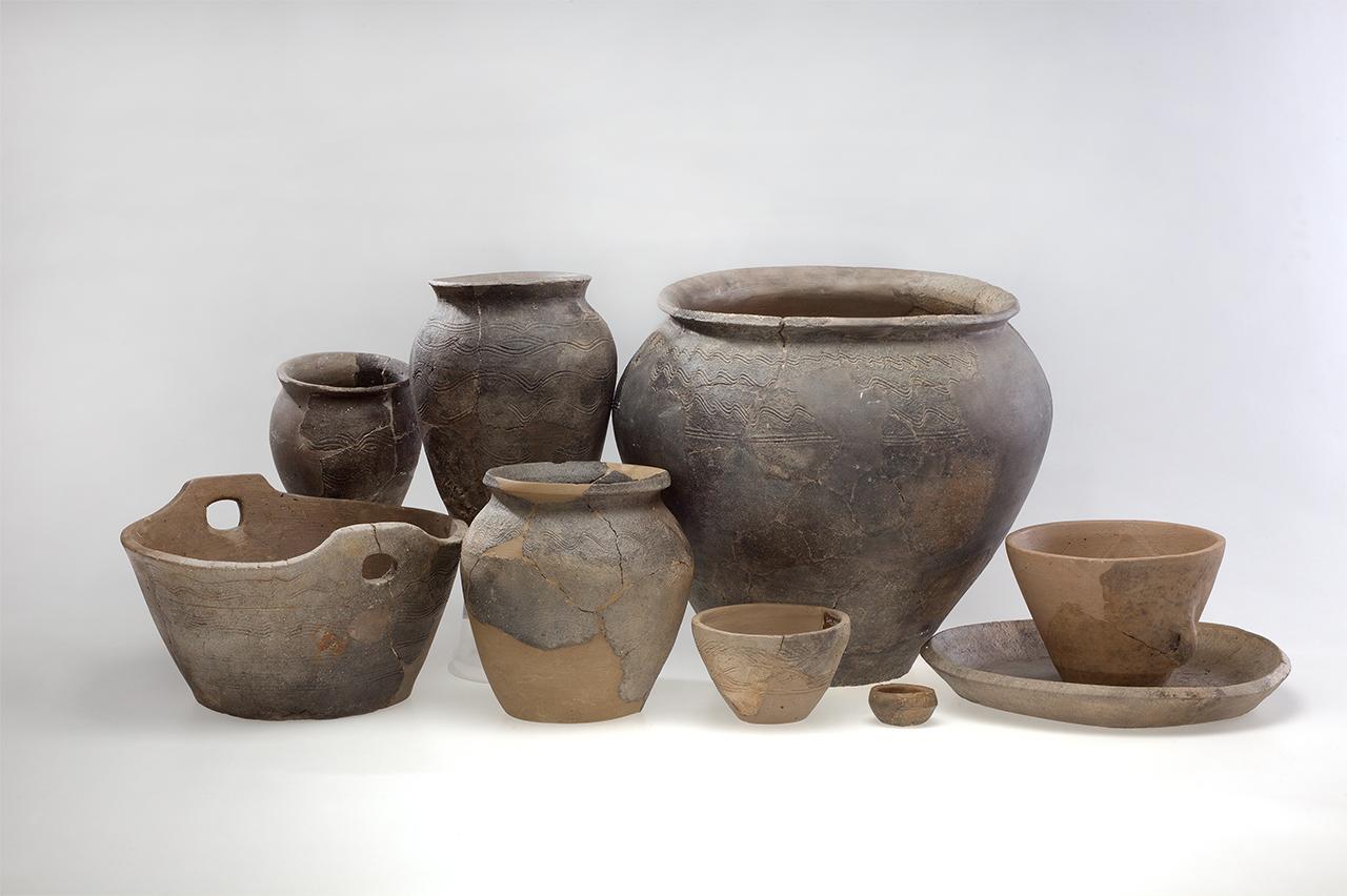 Edénykészlet, Zalavár-Vársziget  