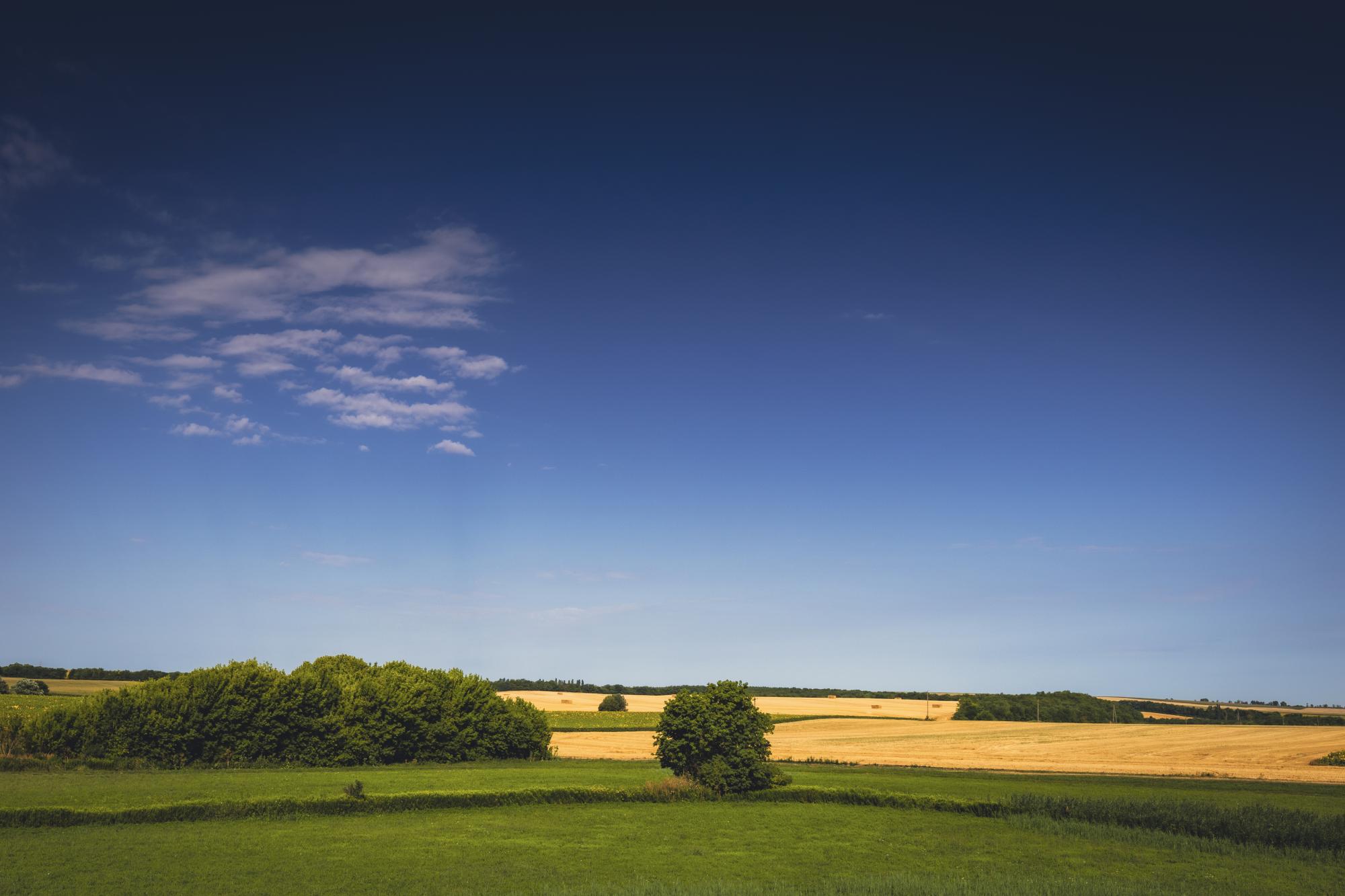 A lelőhely környezete: Pincehely, Bogarasi határ