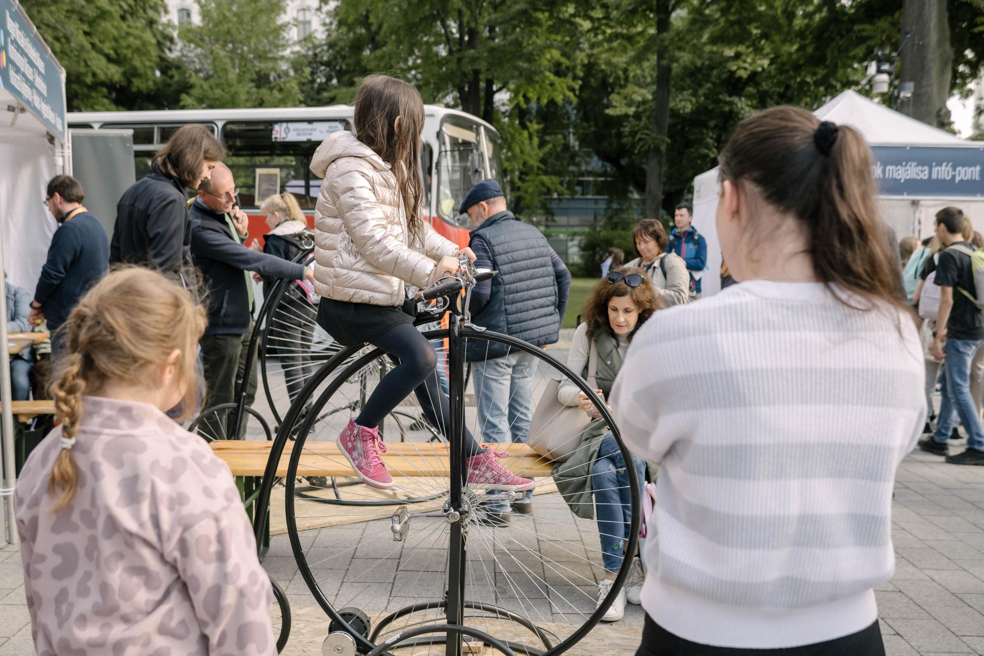 Képek a 28. Múzeumok Majálisából