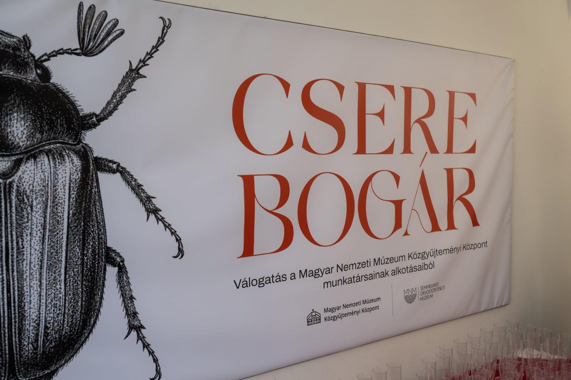 Cserebogár című kiállítás megnyitója az MNM Semmelweis Orvostörténeti Múzeumban