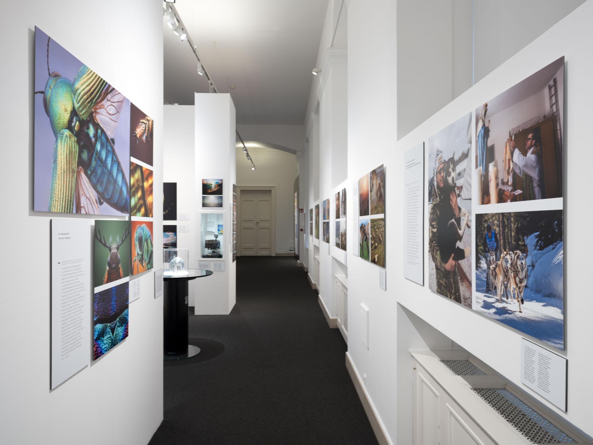 World Press Photo 2023 kiállítás a Magyar Nemzeti Múzeumban