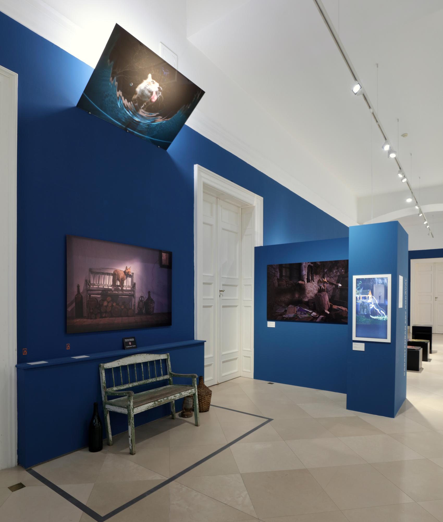 World Press Photo 2023 kiállítás a Magyar Nemzeti Múzeumban