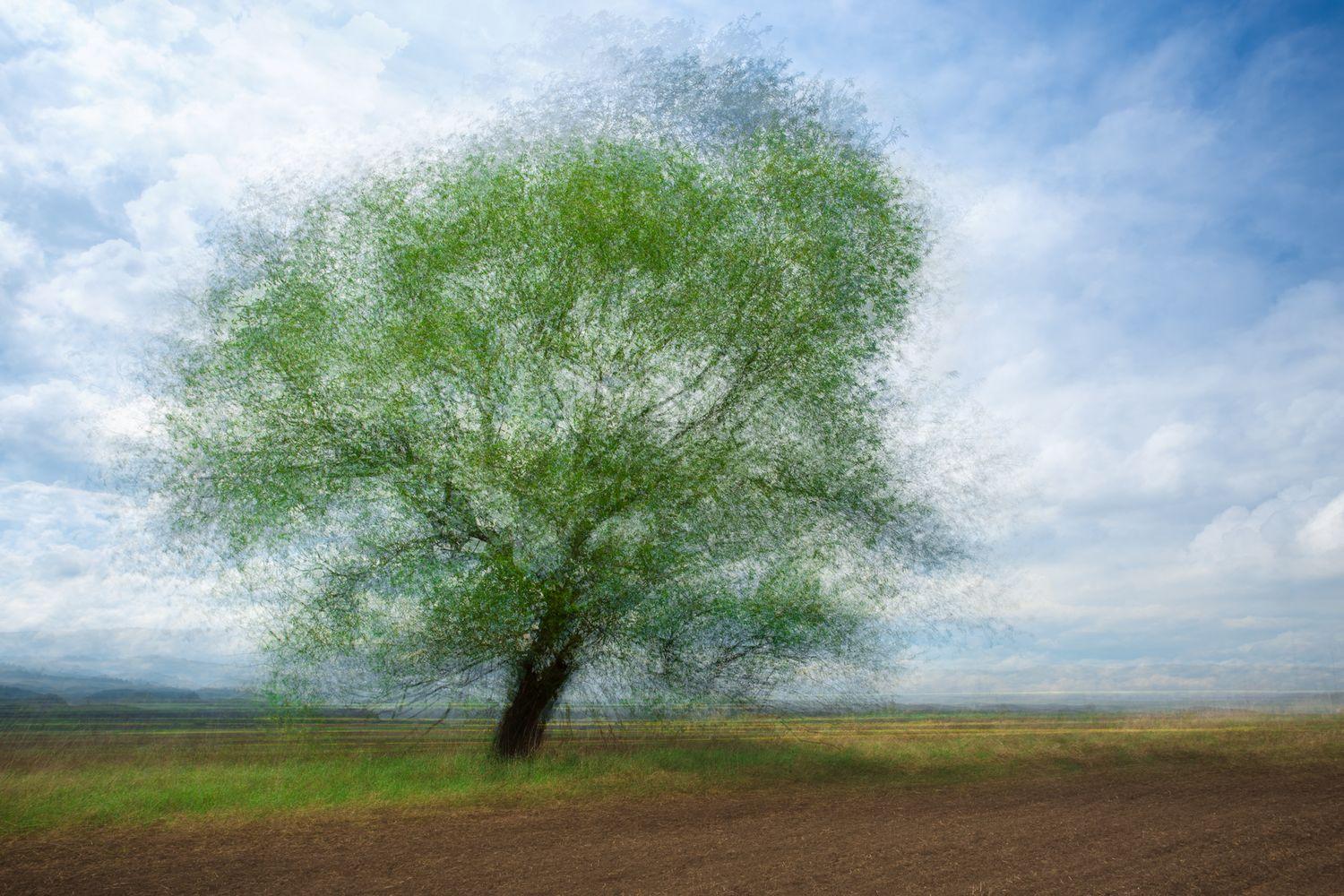 tárlatvezetés a naturart kiállításban