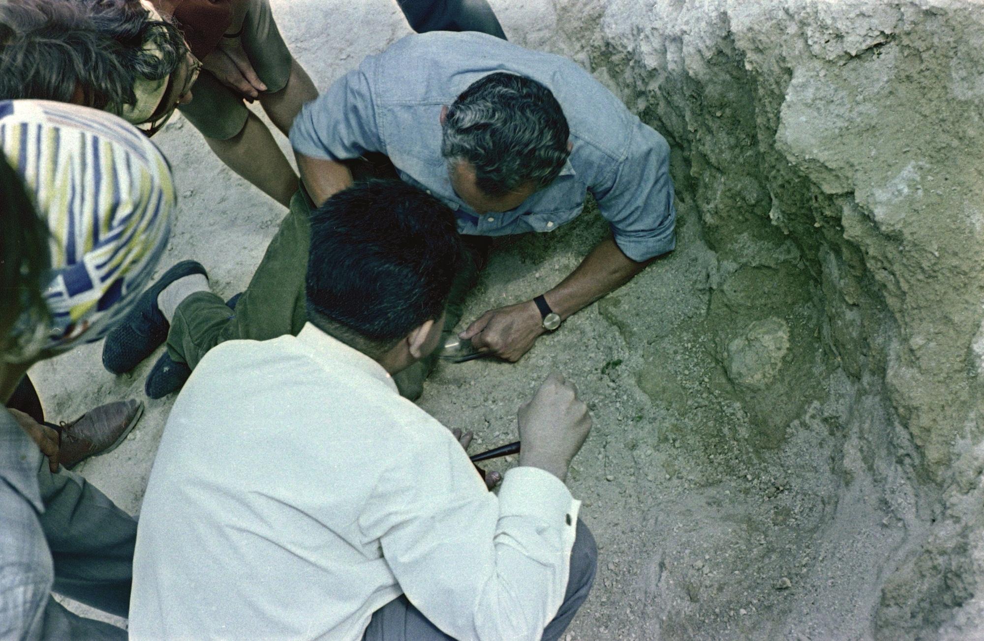 Sámuel előkerülése