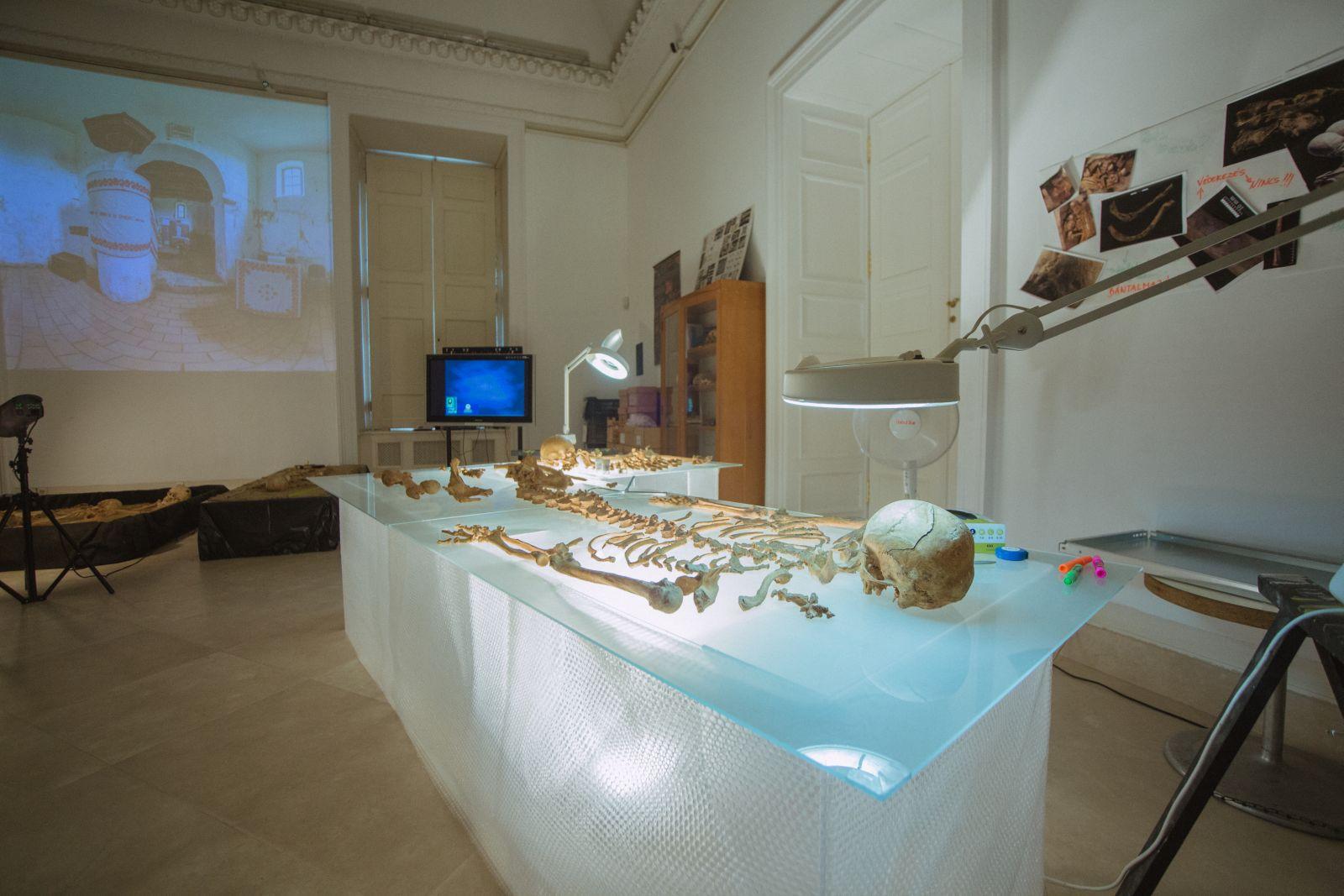 Szunnyadó gyilkosság - a csontok vallnak1