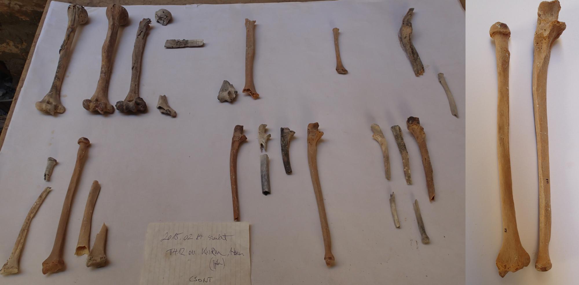 László Orsolya egyiptomi ásatáson 2017_7