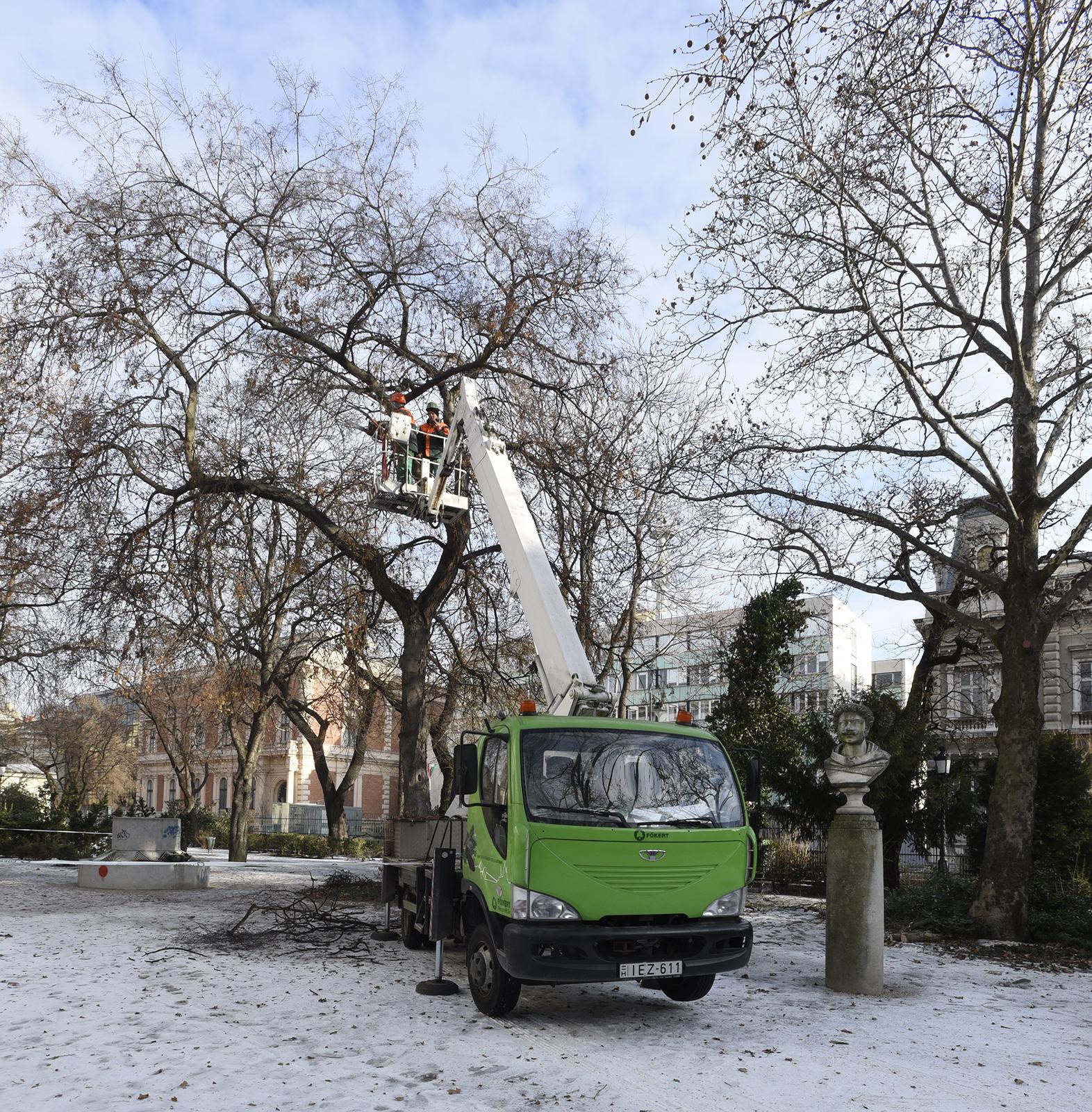 Múzeumkerti munkálatok_201701