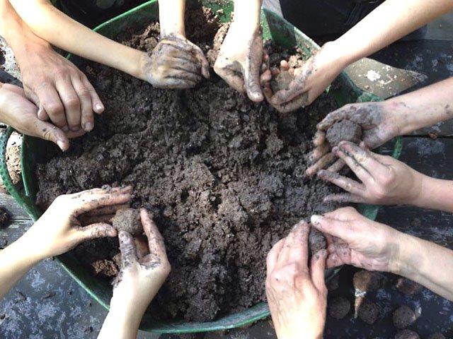 Szikra Renáta Gerillakertészet1