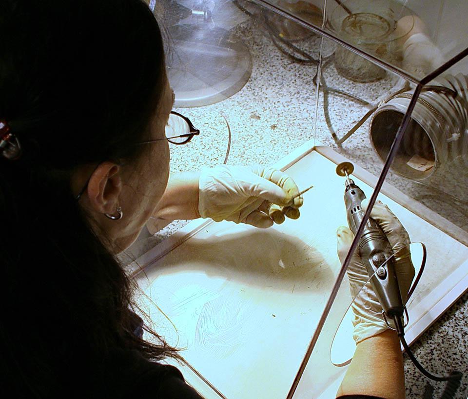 Restaurátor munka közben