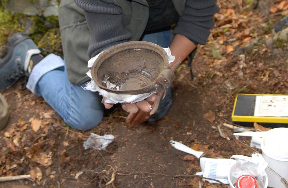 Bronzkori kincslelet