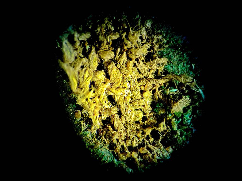 Vászonba csomagolt érmek 2