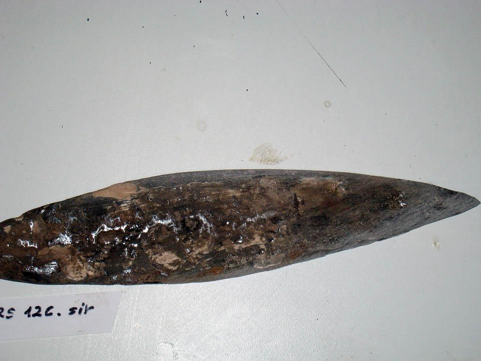 Vaslándzsa kezelés közben 2