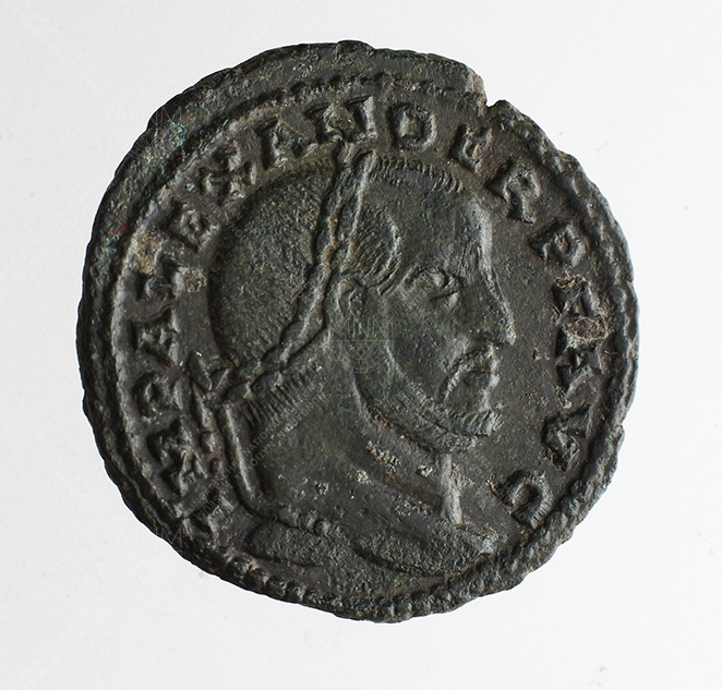 Alexander follis