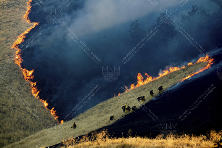 14_Noah Berger_for Associated Press