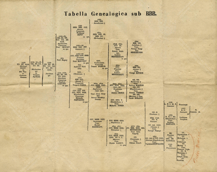 Leszármazási tábla  a  Horvát család tagjaival