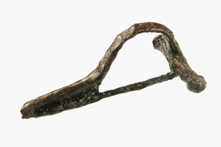 Fibula