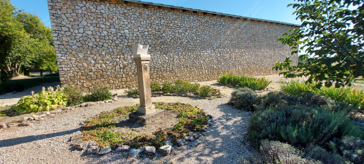 A napóra